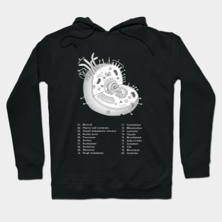 Eukaryotic cell Hoodie